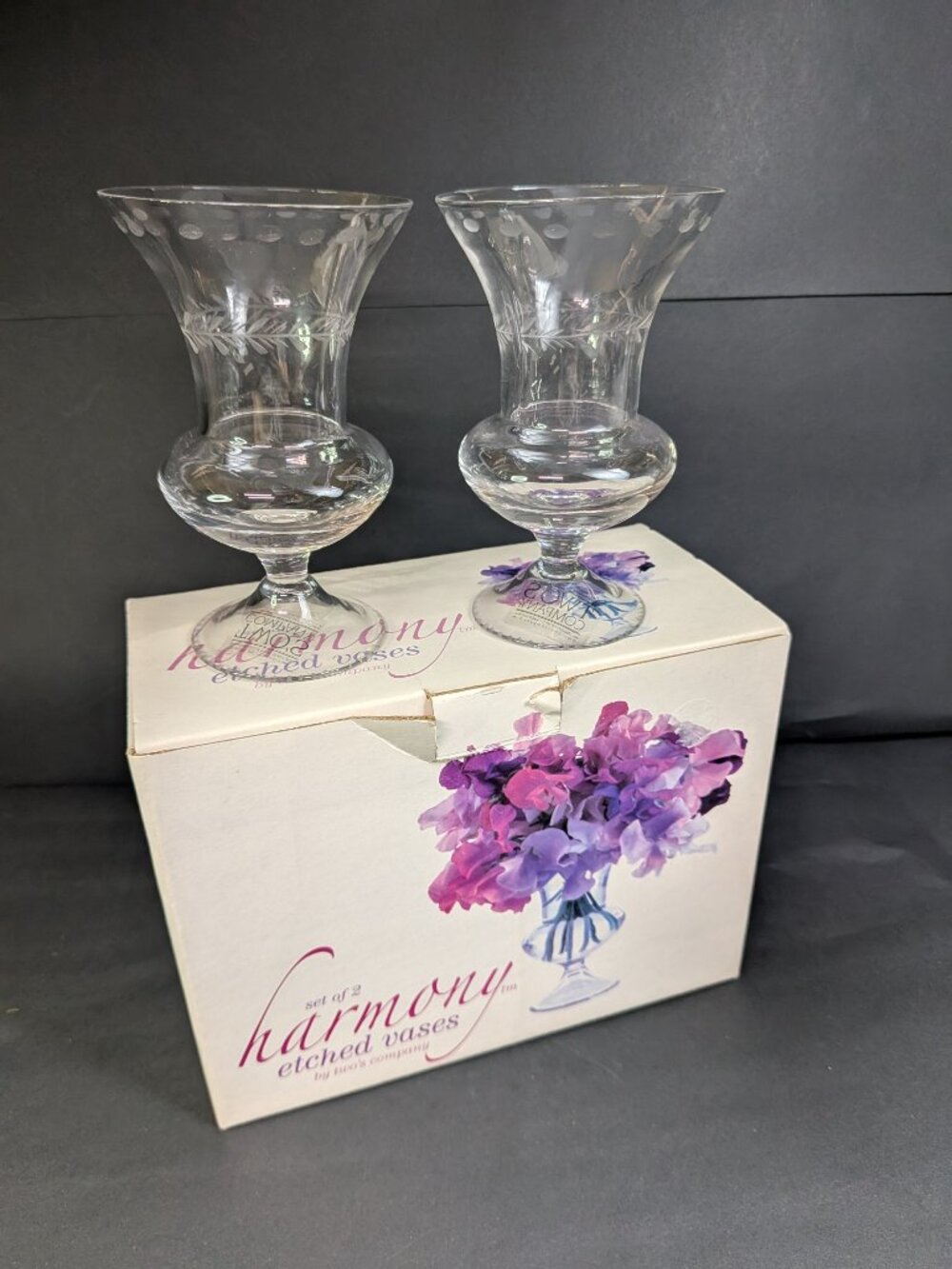 Twos Company Harmony Etched Clear Glass Footed Vases Set of 2 Boxed 2362